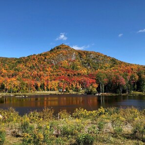 Beautiful Views of Fall Foliage