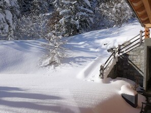 Snow, Slope, Sunlight, Freezing, Automotive Tire, Morning, Tree, Geological Phenomenon, Landscape, Plant