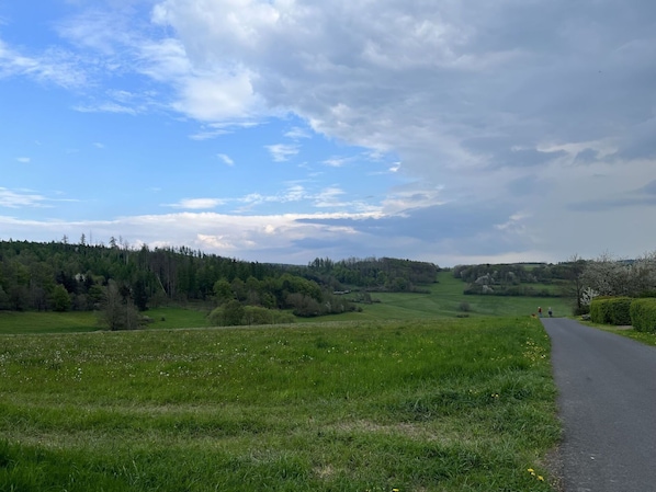 Wolke, Himmel, Pflanze, Natürliche Landschaft, Baum, Kumulus, Wiese, Landschaft, Gras, Einfach