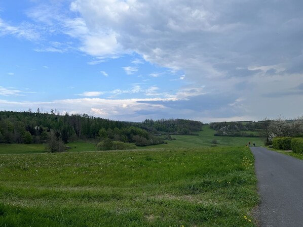 Nuage, Ciel, Plante, Paysage Naturel, Arbre, Cumulus, Prairie, Paysage, Herbe, Plaine