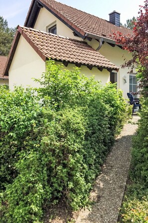 Arbuste, Communauté Des Plantes, Couverture De Sol, Haie, Suppression Des Plantes Ligneuses, Jardin, Plantation, À Feuilles Persistantes, Arrière-Cour
