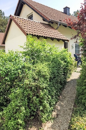 Arbuste, Communauté Des Plantes, Couverture De Sol, Haie, Suppression Des Plantes Ligneuses, Jardin, Plantation, À Feuilles Persistantes, Arrière-Cour