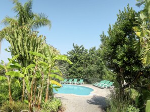 Ciel, Plante, L'Eau, Communauté Des Plantes, Paysage Naturel, Arecales, Piscine, Terrestre Des Plantes, Arbre, Paysage