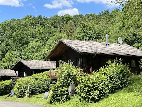 Pflanze, Wolke, Himmel, Eigentum, Pflanzengemeinschaft, Natur, Botanik, Natürliche Landschaft, Grundstueck, Vegetation