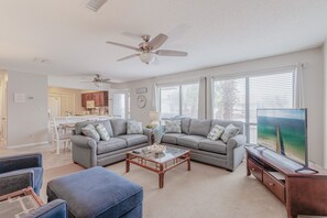 Living Room with new queen sized sofa sleeper