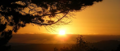 Sunset over Pukekohe