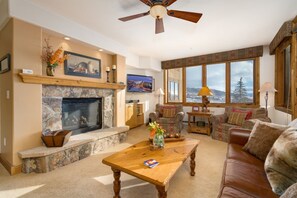 Gas Fireplace