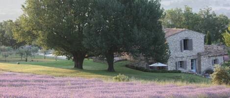 looking down on the house from lavender fields above...