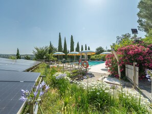 Strauch, Garten, Landscaping, Eco Hotel, Botanischer Garten, Gartenmöbel, Hinterhof, Regenschirm