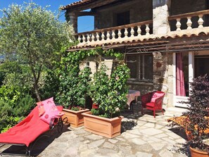 Plant, Building, Property, Window, Flowerpot, Green, House, Houseplant, Architecture, Shade