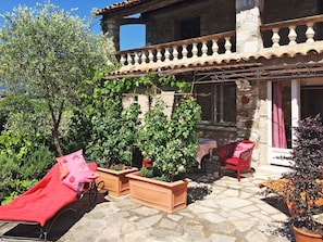 Plante, Bâtiment, Propriété, Fenêtre, Pot De Fleur, Vert, Maison, Plante D'Appartement, Architecture, Ombre