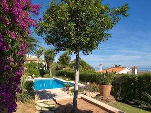 Propriété, Arbre, Immobilier, Maison, Ciel, Zone Résidentielle, Bleu Azur, Piscine, Vacances, Plante