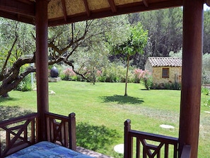 Property, Room, Tree, House, Home, Grass, Botany, Real Estate, Yard, Porch