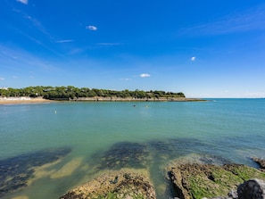 Water, Sky, Cloud, Water Resources, Blue, Nature, Azure, Natural Landscape, Plant, Lake