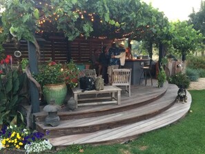 Outdoor Kitchen, wet bar, seating under the grape arbor