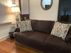 Sleeper sofa with cover to protect from our furry family