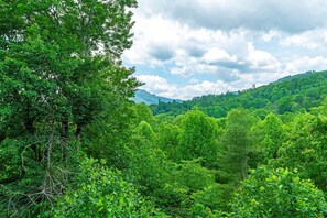 Mountain View from Deck Area