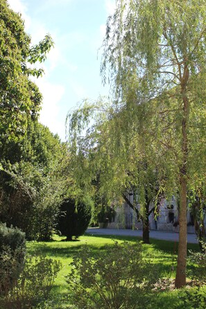 Trädgård