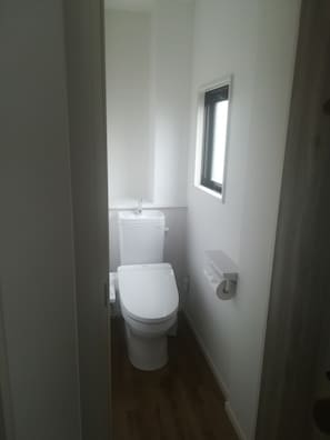 There is a toilet in the room