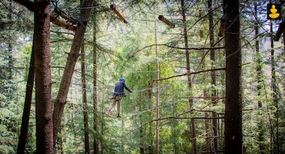 Livingstone Ojuven Adventure Tree House, Kothkai