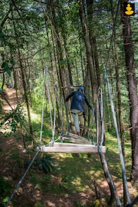 Livingstone Ojuven Adventure Tree House, Kothkai