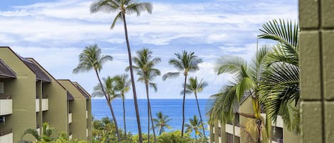 Actual View from Lanai - Sparkling Ocean Views- Watch Whales & Dolphins; Hear the waves, all from your Lanai!