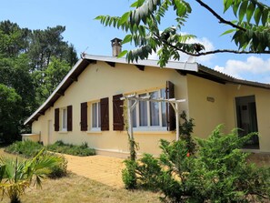 Pflanze, Himmel, Gebäude, Fenster, Eigentum, Haus, Schatten, Baum, Vegetation