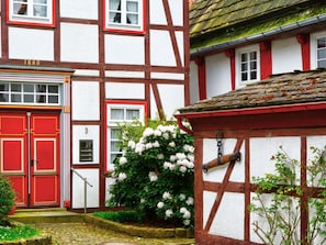 Plant, Building, Window, Door, Wood, Flower, Architecture, Vegetation, Tree