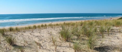 Wasser, Himmel, Pflanze, Natürliche Landschaft, Küsten Und Ozeanische Forms, Strand, Landschaft, Gras, Baum, Horizont