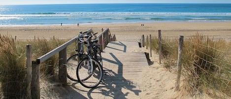 Water, Sky, Bicycle, Wheel, Plant, Bicycle Wheel, Azure, Beach