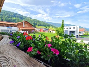 Hill, Spring, Garden, Mountain Range, Groundcover, Valley, Field, Landscaping, Yard, Ridge