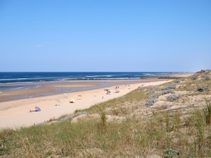 Water, Lucht, Fabriek, Strand, Terrein, Bank, Landschap, Wind Wave, Plain, Gras