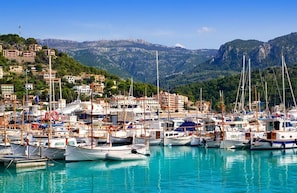 Marina