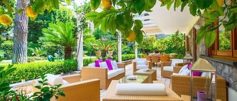 Terraza o patio