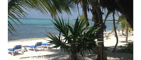 Pristine, sandy beach. Calm, warm seas. Lounges, hammocks, palapas - beach day!