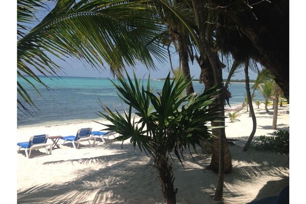 Pristine, sandy beach. Calm, warm seas. Lounges, hammocks, palapas - beach day!