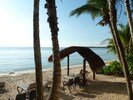 Relax under a shady palapa by the warm sea. Walk along the sandy beach. 