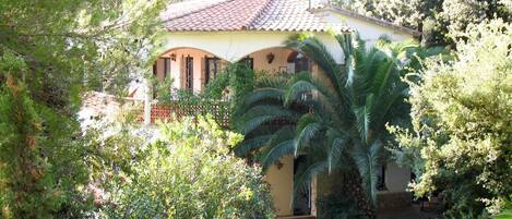 Casa, Propiedad, Vegetación, Casa, Bienes Raíces, Edificio, Árbol, Inmuebles, Botánica, Arquitectura