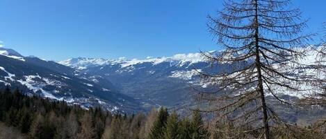 Vista dalla struttura