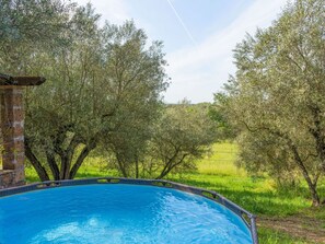 Water, Plant, Sky, Cloud, Natural Landscape, Tree, Shade, Vegetation, Sunlight, Grass