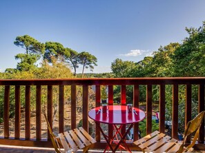Sky, Furniture, Property, Table, Cloud, Tree, Chair, Botany, Wood, Plant