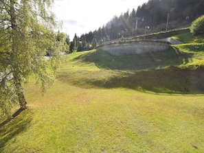 Natur, Natürliche Landschaft, Natürlichen Umgebung, Vegetation, Baum, Wiese, Gras, Naturschutzgebiet, Biome, Wiese