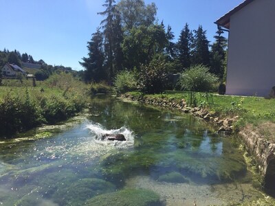 Ferienhaus im idyllischen Möhrenbachtal Nähe Treuchtlingen / Weißenburg 