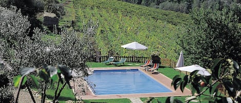 Vista sulla piscina e le nostre vigne