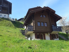 Plant, Sky, Building, Window, House, Land Lot, Natural Landscape, Cottage, Grass, Landscape