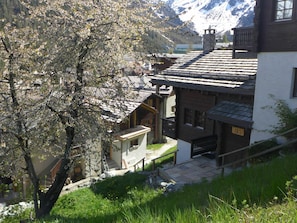 Plant, Building, Window, Tree, Mountain, Wood, House, Slope, Grass, Biome