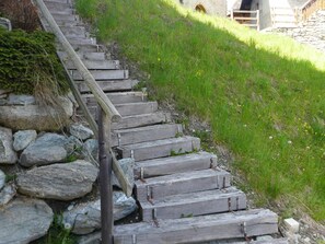Plante, Herbe, Substrat Rocheux, Mur, Couverture De Sol, Arbuste, Escaliers, Bois, Paysage, Mur De Pierre