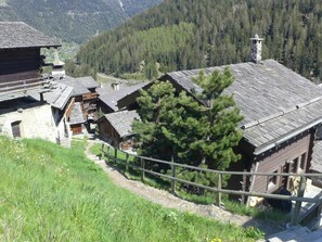 Plante, Bâtiment, Montagne, Montagnes, Arbre, Bois, Maison, Paysage Naturel, Fenêtre, Biome