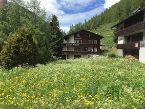 Schnee, Gebäude, Fenster, Einfrieren, Haus, Steigung, Grundeigentum, Holz, Geologisches Phänomen, Baum