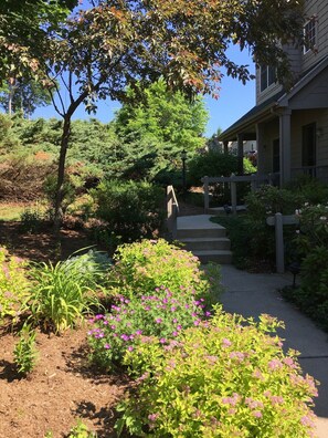 Walkway to townhouse.